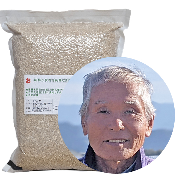 69％以上節約 自然米‼️農家直送 自然栽培無農薬 10kg れんげ米 菊池米