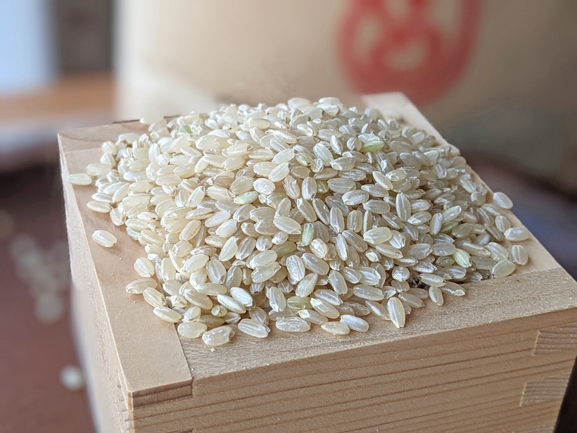 自然栽培米イセヒカリ