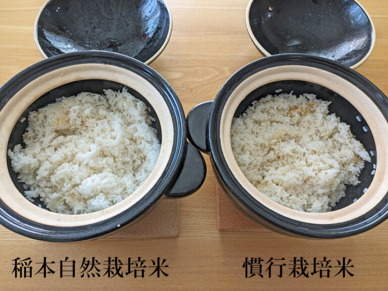 稲本自然栽培米比較実験