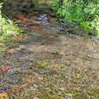 南阿蘇の天然水