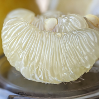 自然栽培パール柑