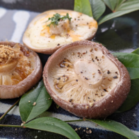 高塚自然栽培椎茸