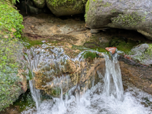 堀永自然栽培の湧水