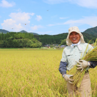 天草の自然栽培米農家川崎さん