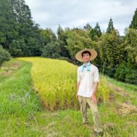 中山間地域の自然栽培米